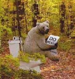 Bear-on-toilet